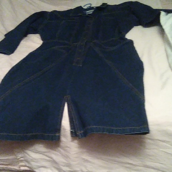 Denim Button-Up Dress - Picture 8 of 9